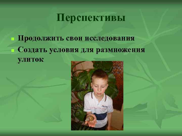 Перспективы n n Продолжить свои исследования Создать условия для размножения улиток 