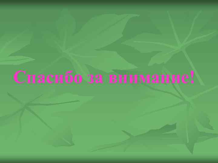 Спасибо за внимание! 