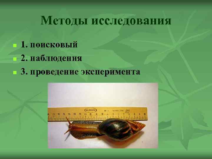 Методы исследования n n n 1. поисковый 2. наблюдения 3. проведение эксперимента 