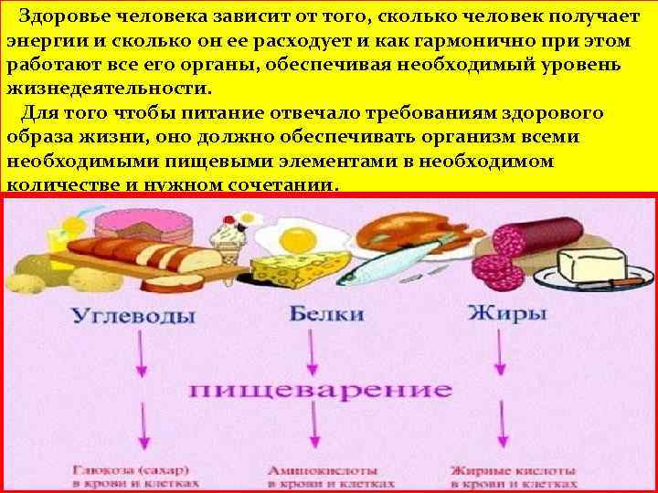 Здоровье человека зависит от того, сколько человек получает энергии и сколько он ее расходует