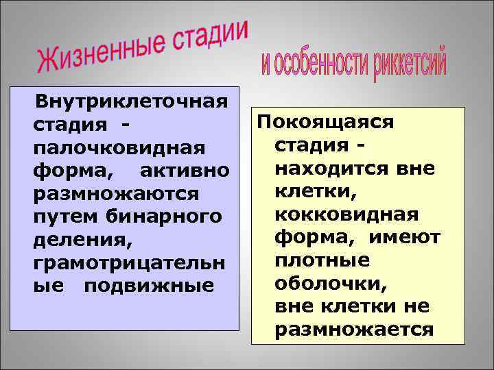 Внутриклеточная стадия палочковидная форма, активно размножаются путем бинарного деления, грамотрицательн ые подвижные Покоящаяся стадия