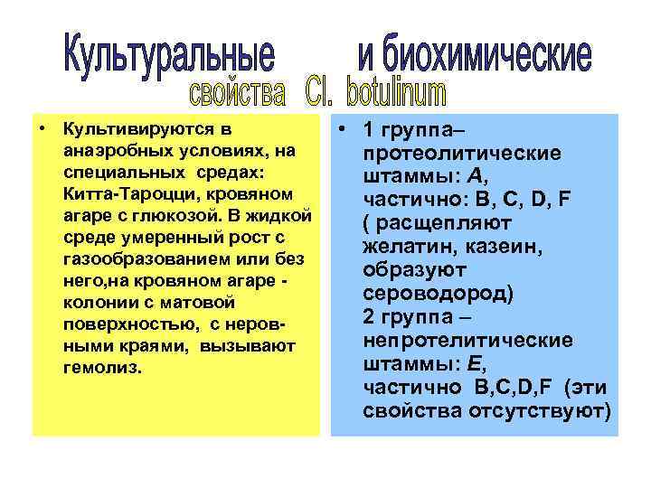  • Культивируются в анаэробных условиях, на специальных средах: Китта-Тароцци, кровяном агаре с глюкозой.