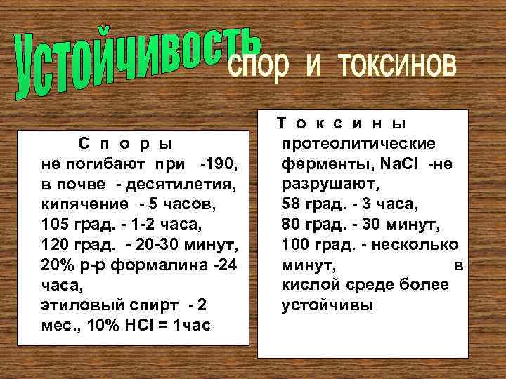 С п о р ы не погибают при -190, в почве - десятилетия, кипячение