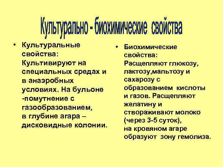  • Культуральные свойства: Культивируют на специальных средах и в анаэробных условиях. На бульоне