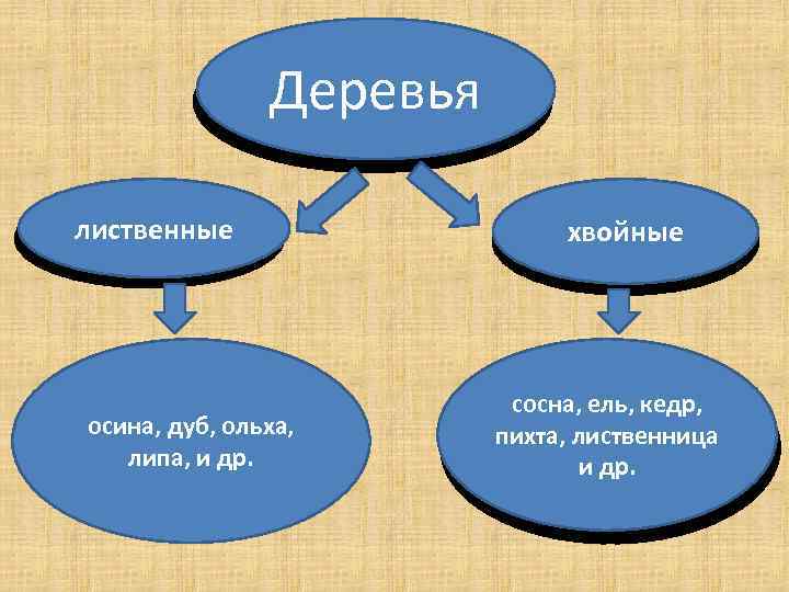 Деревья лиственные осина, дуб, ольха, липа, и др. хвойные сосна, ель, кедр, пихта, лиственница