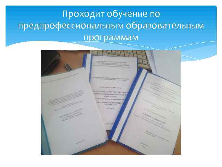 Проходит обучение по предпрофессиональным образовательным программам 