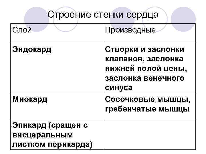 Строение стенки сердца Слой Производные Эндокард Створки и заслонки клапанов, заслонка нижней полой вены,
