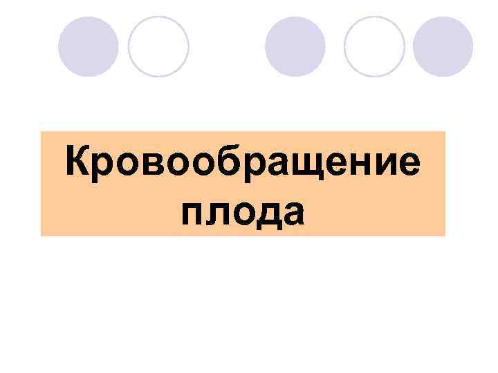 Кровообращение плода 