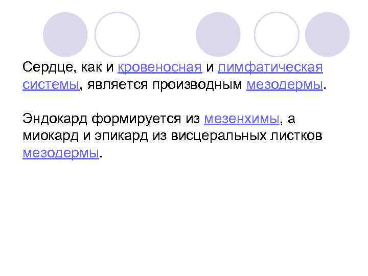 Сердце, как и кровеносная и лимфатическая системы, является производным мезодермы. Эндокард формируется из мезенхимы,