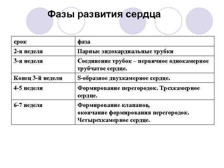 Фазы развития сердца срок фаза 2 -я неделя Парные эндокардиальные трубки 3 -я неделя