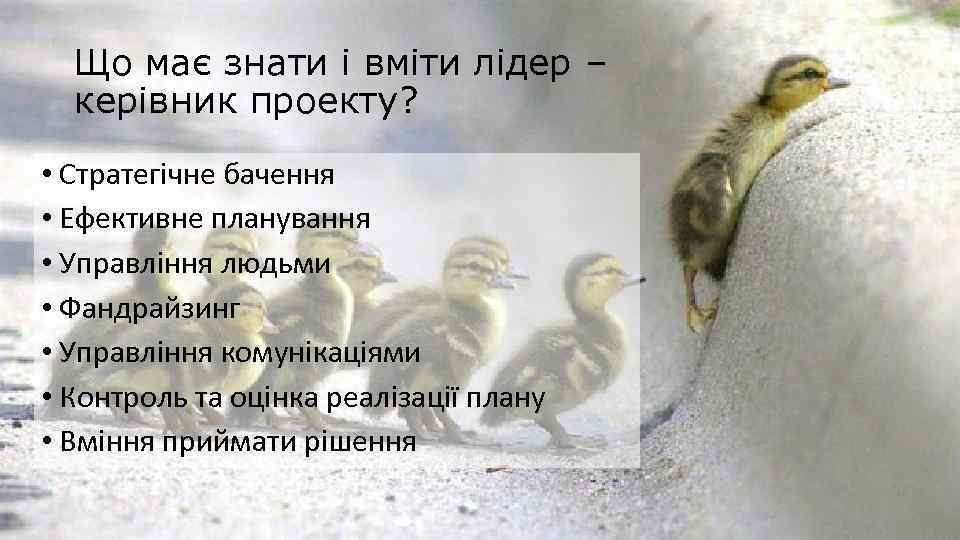 Що має знати і вміти лідер – керівник проекту? • Стратегічне бачення • Ефективне