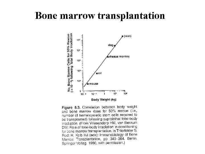 Bone marrow transplantation 