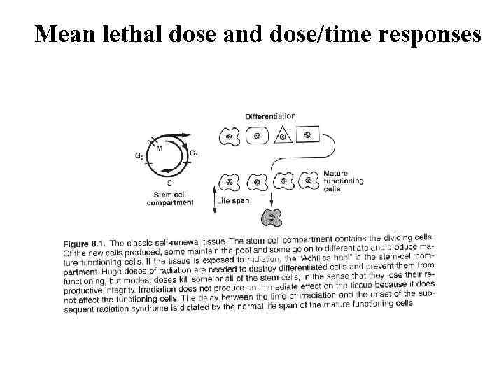 Mean lethal dose and dose/time responses 