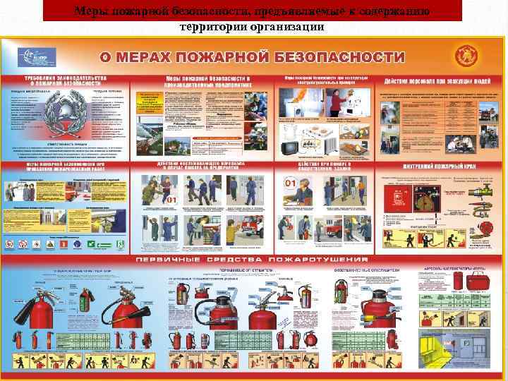 Меры пожарной безопасности, предъявляемые к содержанию территории организации 