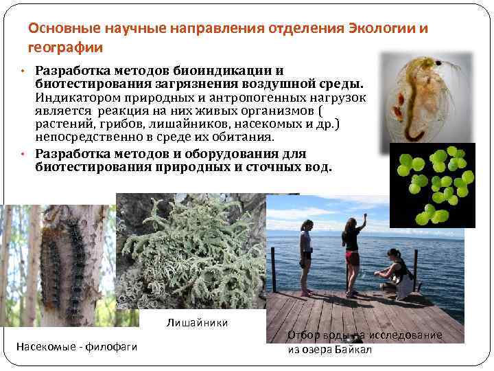 Основные научные направления отделения Экологии и географии • Разработка методов биоиндикации и биотестирования загрязнения