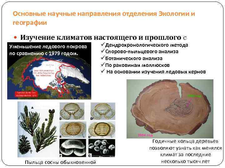 Основные научные направления отделения Экологии и географии Изучение климатов настоящего и прошлого с Уменьшение