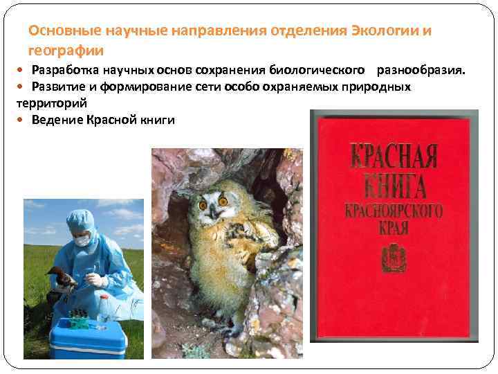 Основные научные направления отделения Экологии и географии Разработка научных основ сохранения биологического разнообразия. Развитие