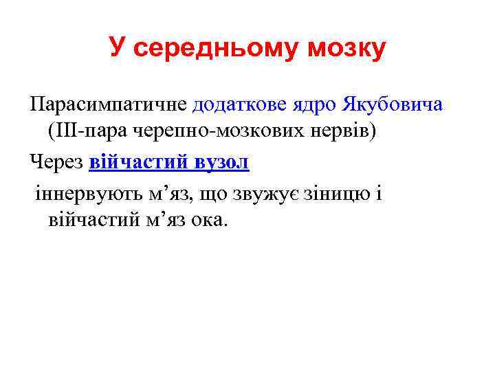 У середньому мозку Парасимпатичне додаткове ядро Якубовича (ІІІ-пара черепно-мозкових нервів) Через війчастий вузол іннервують