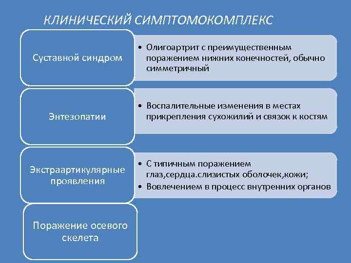 КЛИНИЧЕСКИЙ СИМПТОМОКОМПЛЕКС Суставной синдром Энтезопатии • Олигоартрит с преимущественным поражением нижних конечностей, обычно симметричный