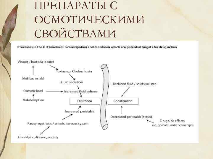 ПРЕПАРАТЫ С ОСМОТИЧЕСКИМИ СВОЙСТВАМИ Макрагол 