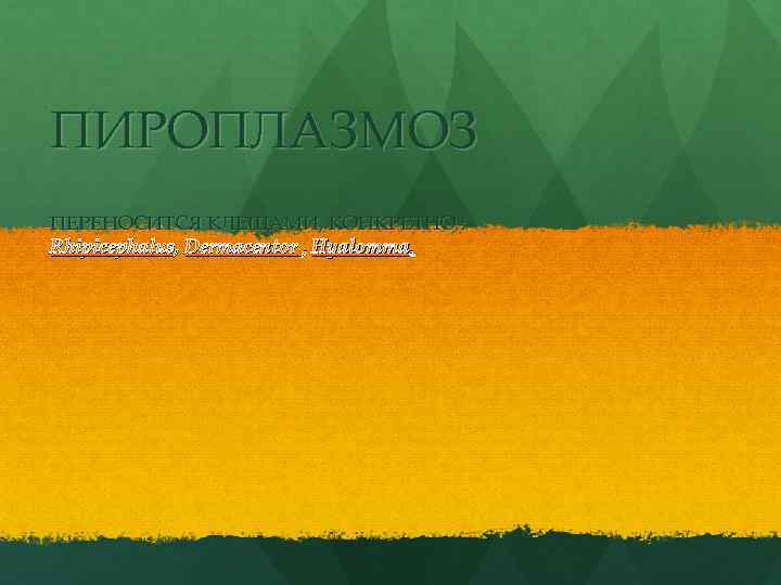 ПИРОПЛАЗМОЗ ПЕРЕНОСИТСЯ КЛЕЩАМИ, КОНКРЕТНО : Rhipicephalus, Dermacentor , Hyalomma. 