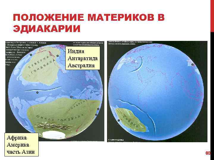 ПОЛОЖЕНИЕ МАТЕРИКОВ В ЭДИАКАРИИ Африка Америка часть Азии 8 Индия Антарктида Австралия 