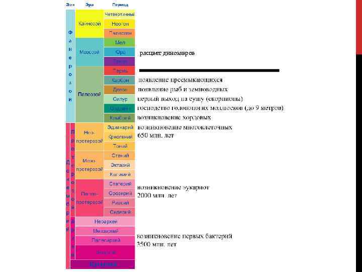 расцвет динозавров 