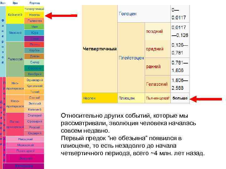 Относительно других событий, которые мы рассматривали, эволюция человека началась совсем недавно. Первый предок “не