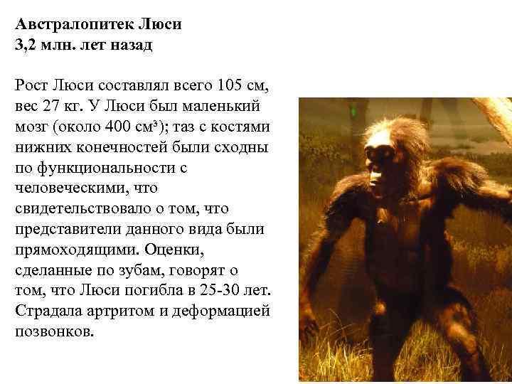 Австралопитек Люси 3, 2 млн. лет назад Рост Люси составлял всего 105 см, вес