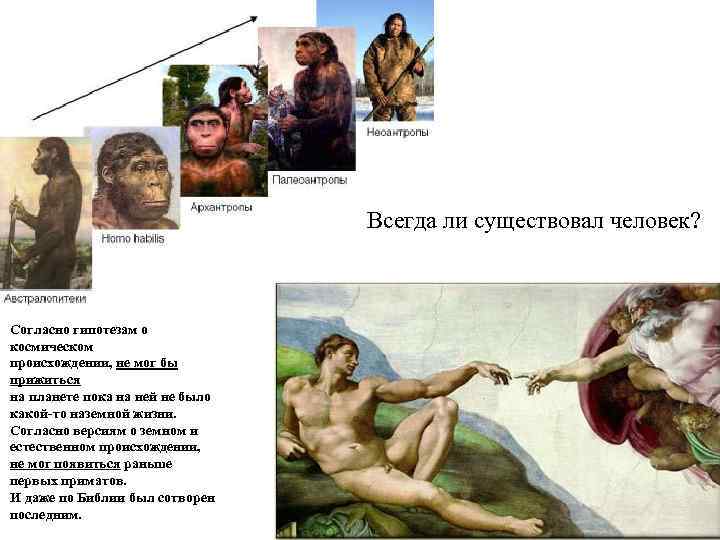 Всегда ли существовал человек? Согласно гипотезам о космическом происхождении, не мог бы прижиться на