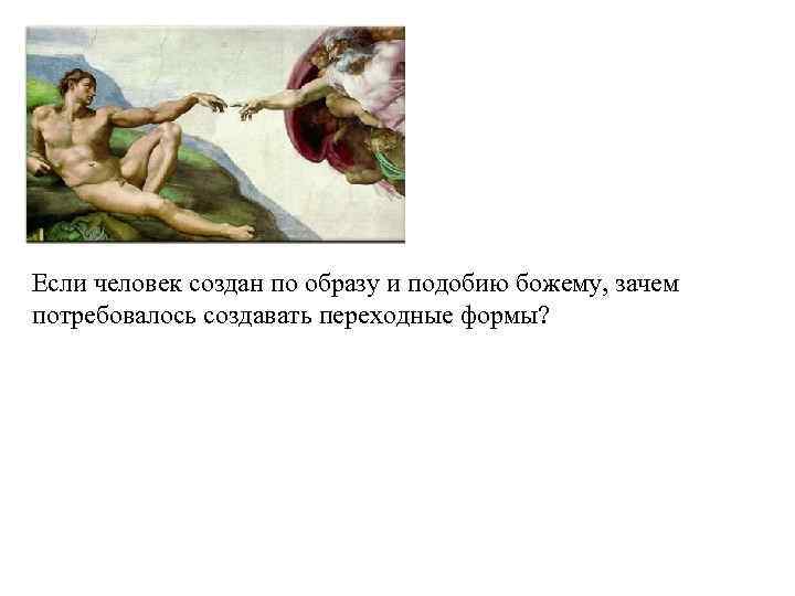 Если человек создан по образу и подобию божему, зачем потребовалось создавать переходные формы? 