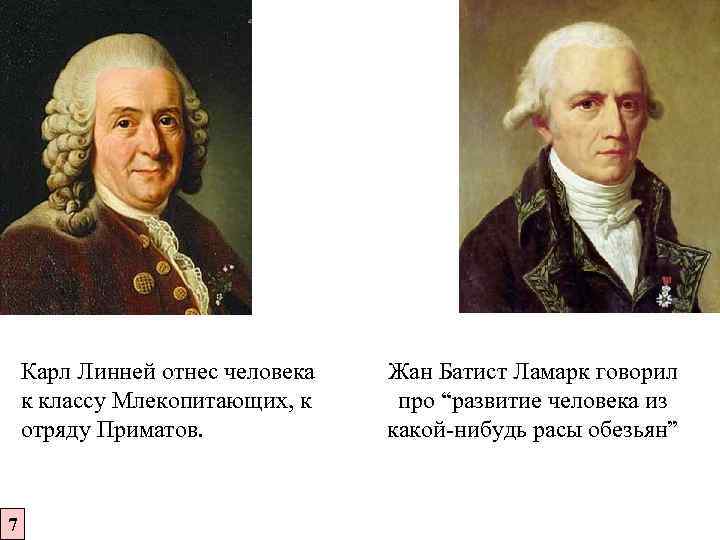 Карл Линней отнес человека к классу Млекопитающих, к отряду Приматов. 7 Жан Батист Ламарк