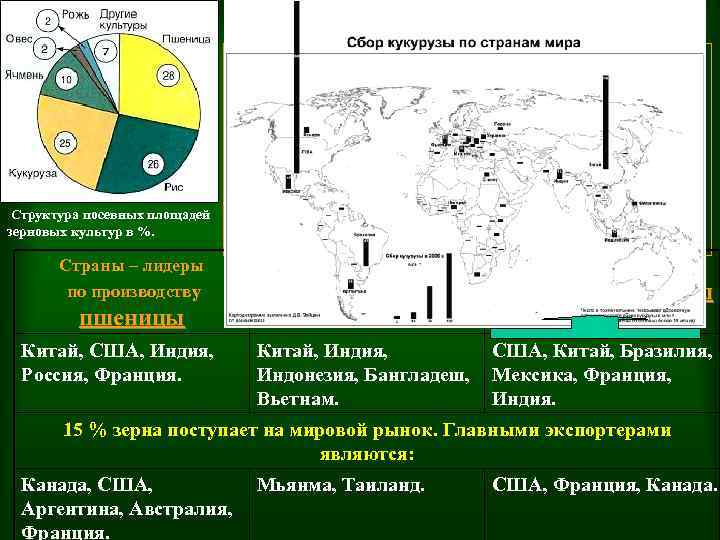 ЗЕРНОВОЕ ХОЗЯЙСТВО Первое место по значению принадлежит зерновым культурам, примерно 55% зерновых употребляют в
