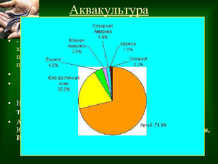 Аквакультура • Искусственное культивирование водных организмов (рыба, моллюски, водоросли): • - одна из самых