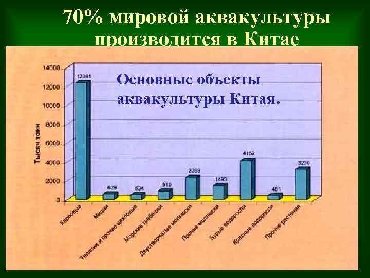70% мировой аквакультуры производится в Китае в РФ – 0, 2%. ) Основные объекты