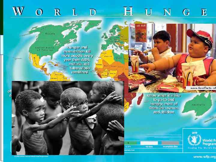 Глобальная продовольственная проблема — едва ли не древнейшая из всех глобальных проблем • Продовольственная