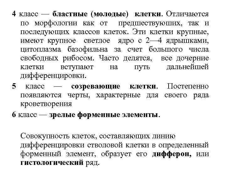 4 класс — бластные (молодые) клетки. Отличаются по морфологии как от предшествуюших, так и