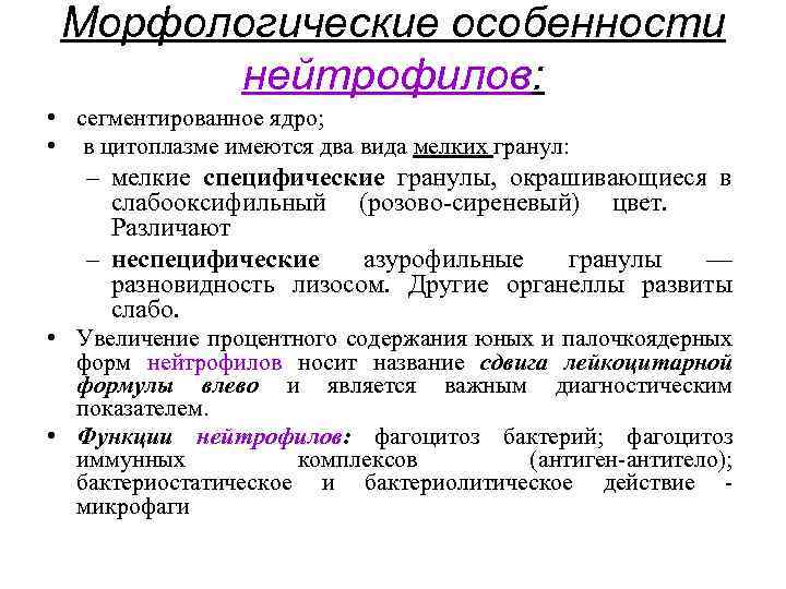 Морфологические особенности нейтрофилов: • сегментированное ядро; • в цитоплазме имеются два вида мелких гранул: