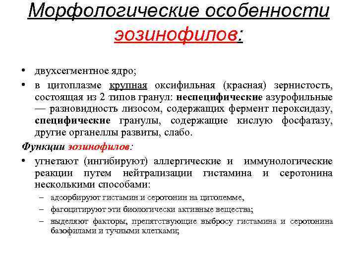 Морфологические особенности эозинофилов: • двухсегментное ядро; • в цитоплазме крупная оксифильная (красная) зернистость, состоящая
