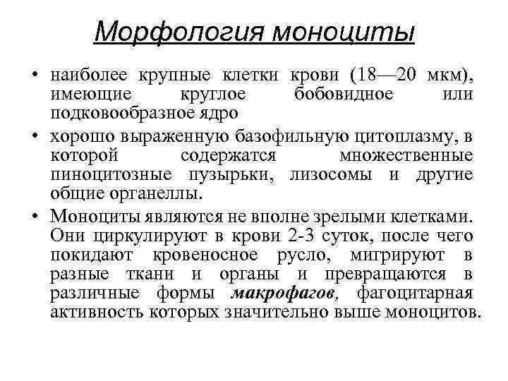 Морфология моноциты • наиболее крупные клетки крови (18— 20 мкм), имеющие круглое бобовидное или
