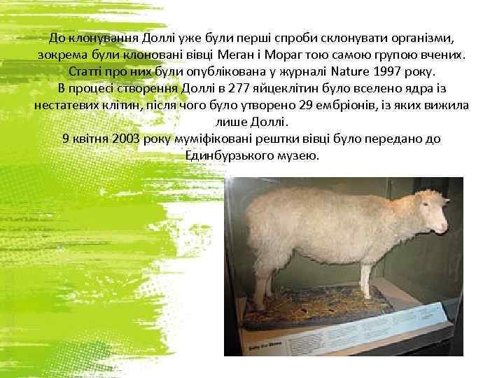 До клонування Доллі уже були перші спроби склонувати організми, зокрема були клоновані вівці Меган