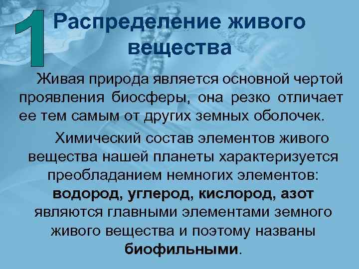 Распределение живого вещества Живая природа является основной чертой проявления биосферы, она резко отличает ее