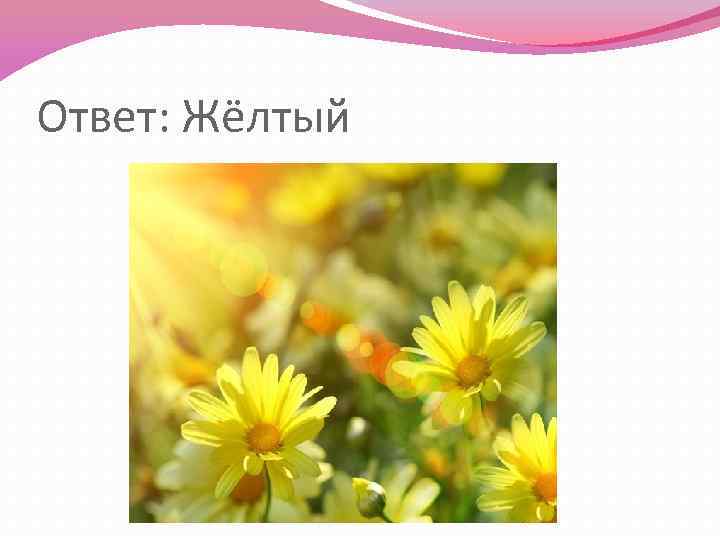 Ответ: Жёлтый 