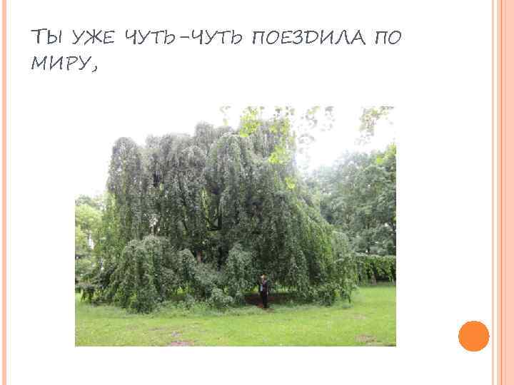 ТЫ УЖЕ ЧУТЬ-ЧУТЬ ПОЕЗДИЛА ПО МИРУ, 