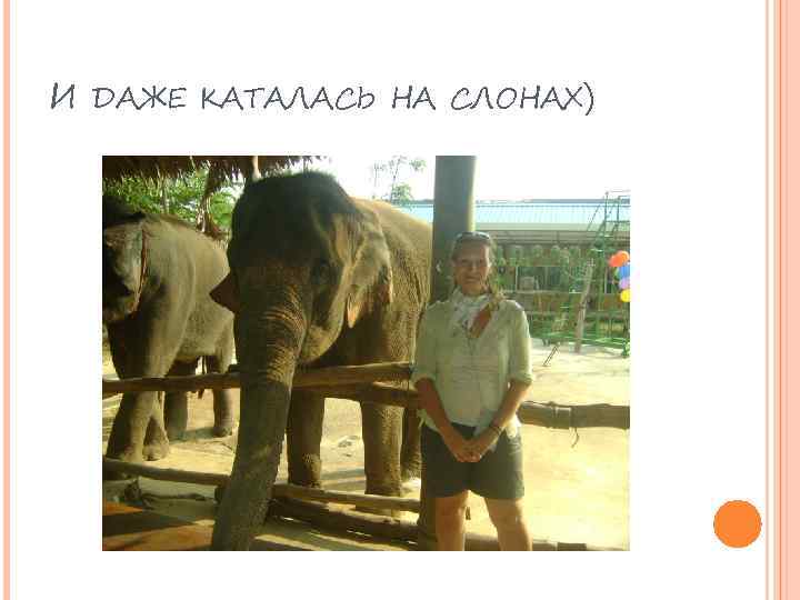 И ДАЖЕ КАТАЛАСЬ НА СЛОНАХ) 