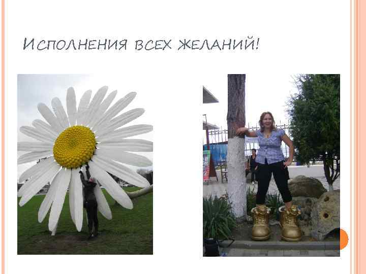 ИСПОЛНЕНИЯ ВСЕХ ЖЕЛАНИЙ! 