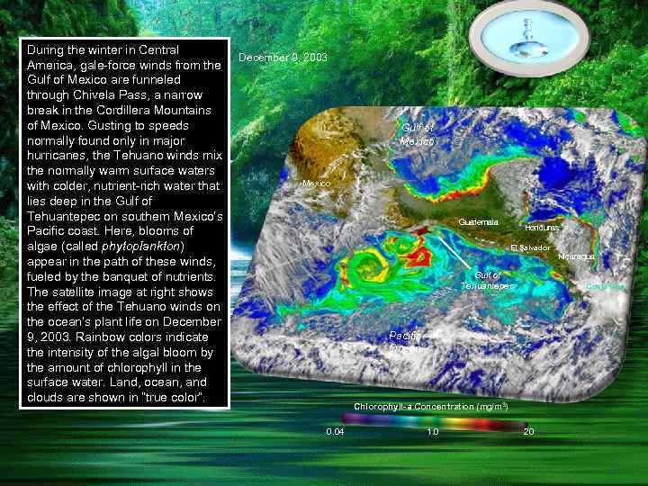 During the winter in Central America, gale-force winds from the Gulf of Mexico are