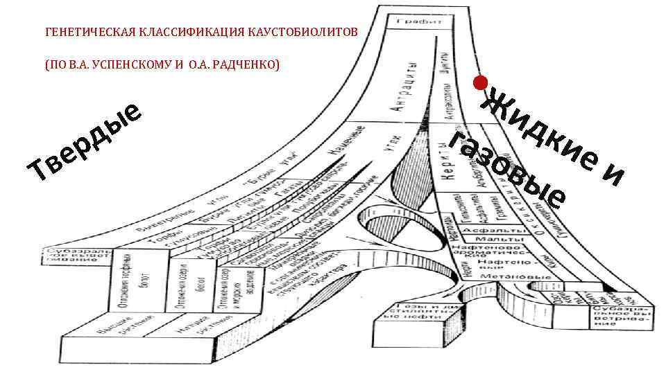 Генетическая классификация. Генетическая классификация каустобиолитов по в а Успенскому. Классификация Успенского Радченко. Классификация каустобиолитов нефтяного ряда. Каустобиолиты угольного ряда.