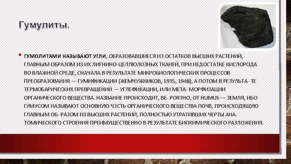 Гумулиты. • ГУМОЛИТАМИ НАЗЫВАЮТ УГЛИ, ОБРАЗОВАВШИЕСЯ ИЗ ОСТАТКОВ ВЫСШИХ РАСТЕНИЙ, ГЛАВНЫМ ОБРАЗОМ ИЗ ИХ