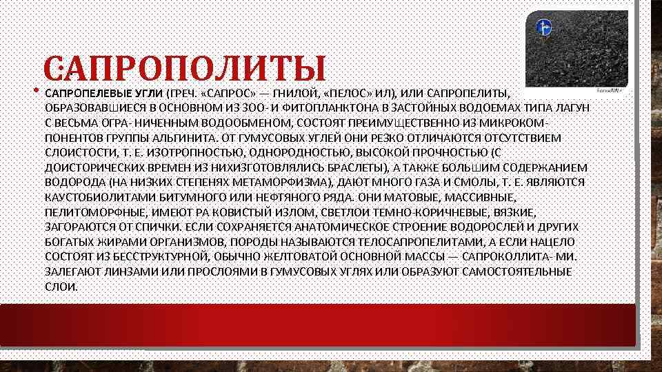  • САПРОПОЛИТЫ • . САПРОПЕЛЕВЫЕ УГЛИ (ГРЕЧ. «САПРОС» — ГНИЛОЙ, «ПЕЛОС» ИЛ), ИЛИ